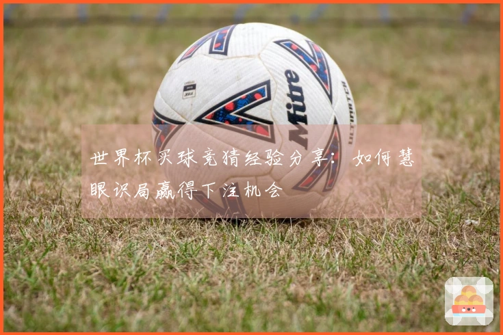 世界杯买球竞猜经验分享：如何慧眼识局赢得下注机会