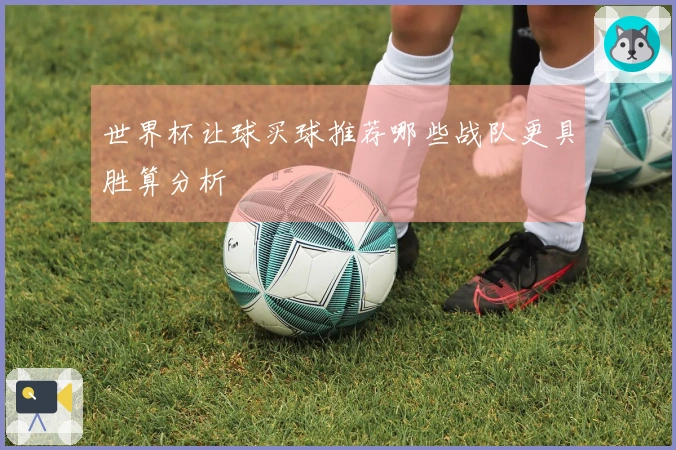 世界杯让球买球推荐哪些战队更具胜算分析