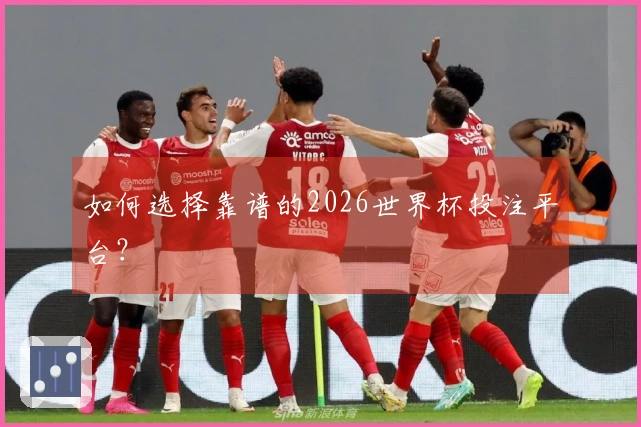 如何选择靠谱的2026世界杯投注平台？