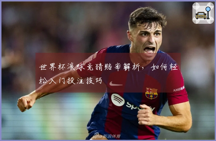 世界杯滚球竞猜赔率解析，如何轻松入门投注技巧