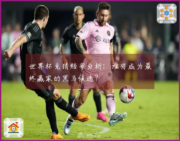 世界杯竞猜赔率分析：谁将成为最终赢家的黑马候选？