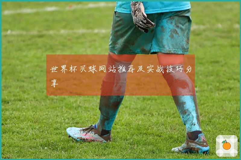 世界杯买球网站推荐及实战技巧分享