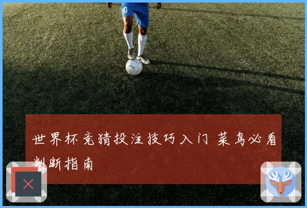 世界杯竞猜投注技巧入门 菜鸟必看判断指南