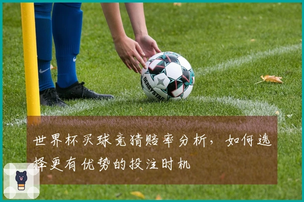 世界杯买球竞猜赔率分析，如何选择更有优势的投注时机