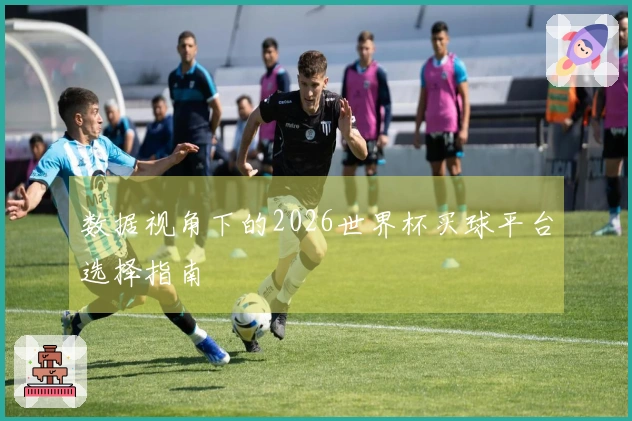 数据视角下的2026世界杯买球平台选择指南