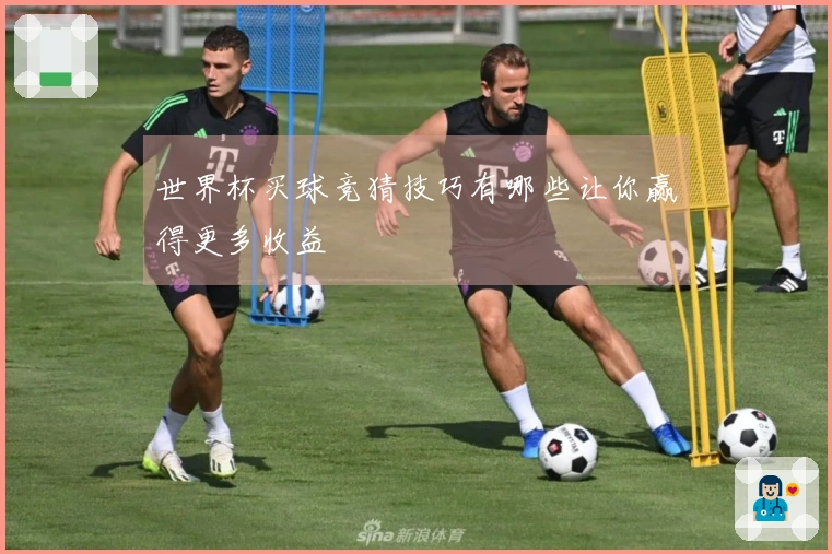 世界杯买球竞猜技巧有哪些让你赢得更多收益
