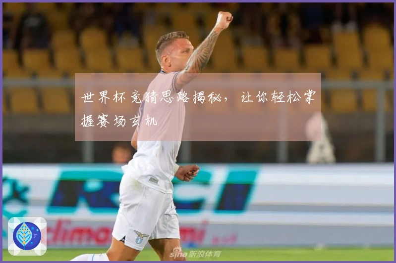世界杯竞猜思路揭秘，让你轻松掌握赛场玄机