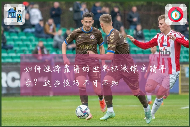 如何选择靠谱的世界杯滚球竞猜平台？这些技巧不可不知