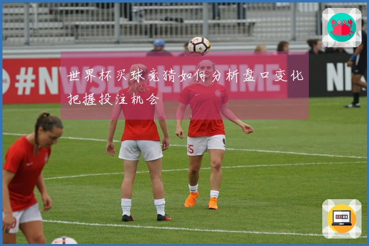 世界杯买球竞猜如何分析盘口变化把握投注机会