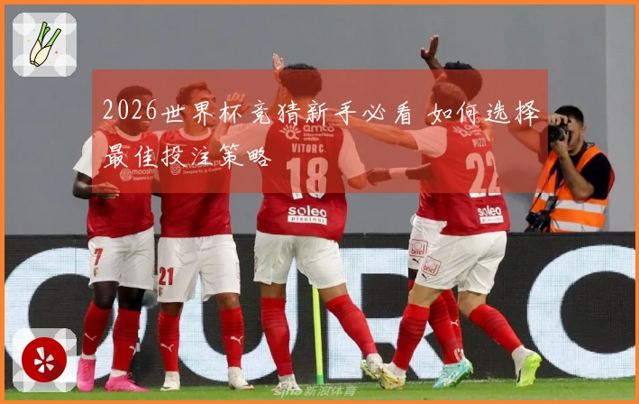 2026世界杯竞猜新手必看 如何选择最佳投注策略