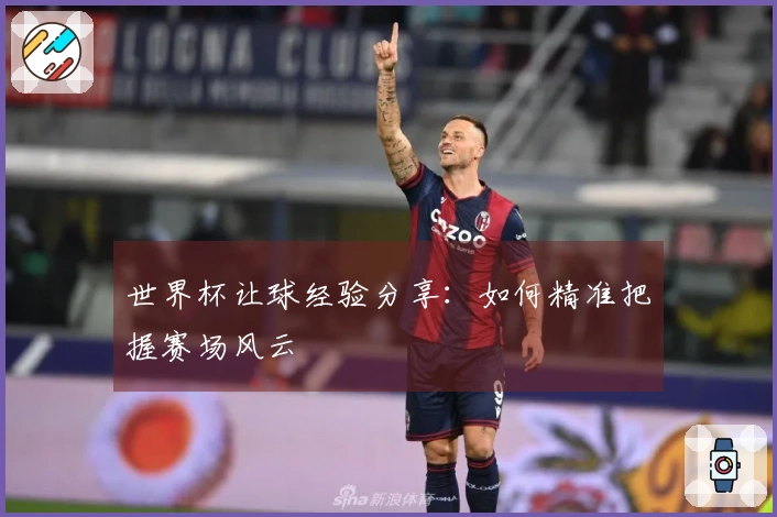 世界杯让球经验分享：如何精准把握赛场风云