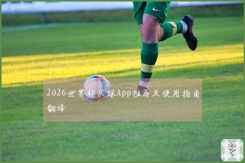 2026世界杯买球App推荐及使用指南翻译