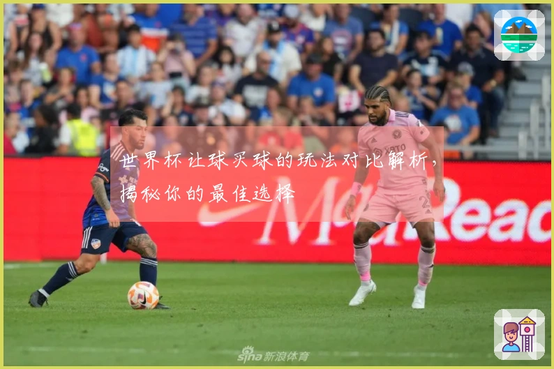 世界杯让球买球的玩法对比解析，揭秘你的最佳选择