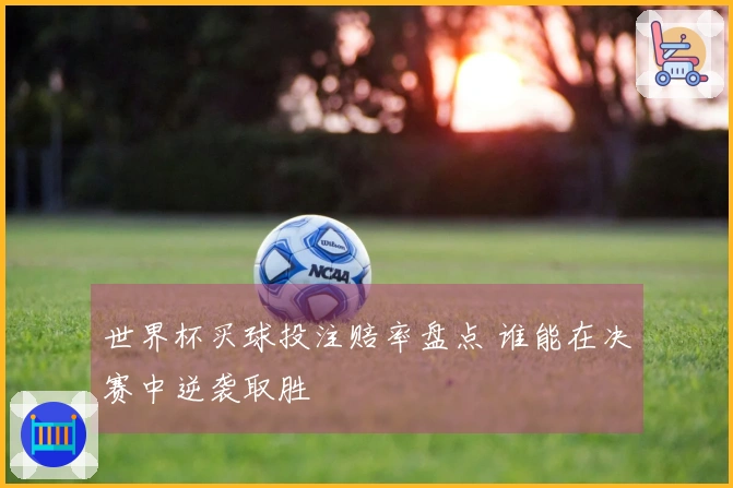 世界杯买球投注赔率盘点 谁能在决赛中逆袭取胜