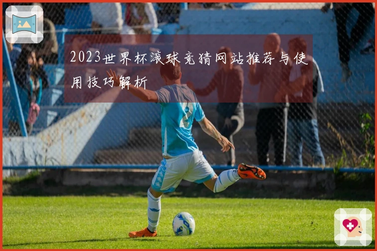 2023世界杯滚球竞猜网站推荐与使用技巧解析