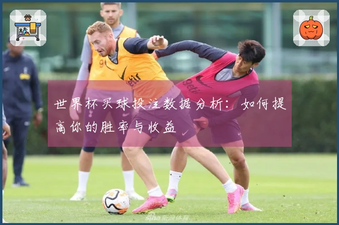 世界杯买球投注数据分析：如何提高你的胜率与收益