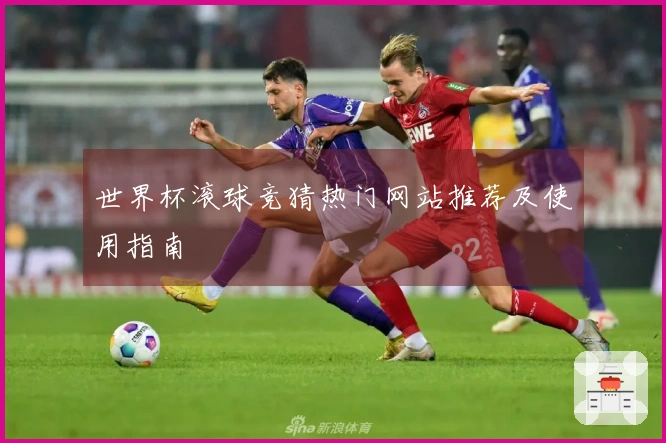 世界杯滚球竞猜热门网站推荐及使用指南